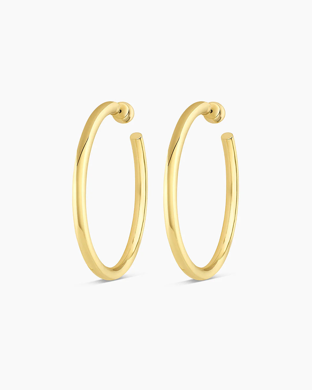 Carter Statement Hoops